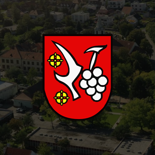 logo vajnory